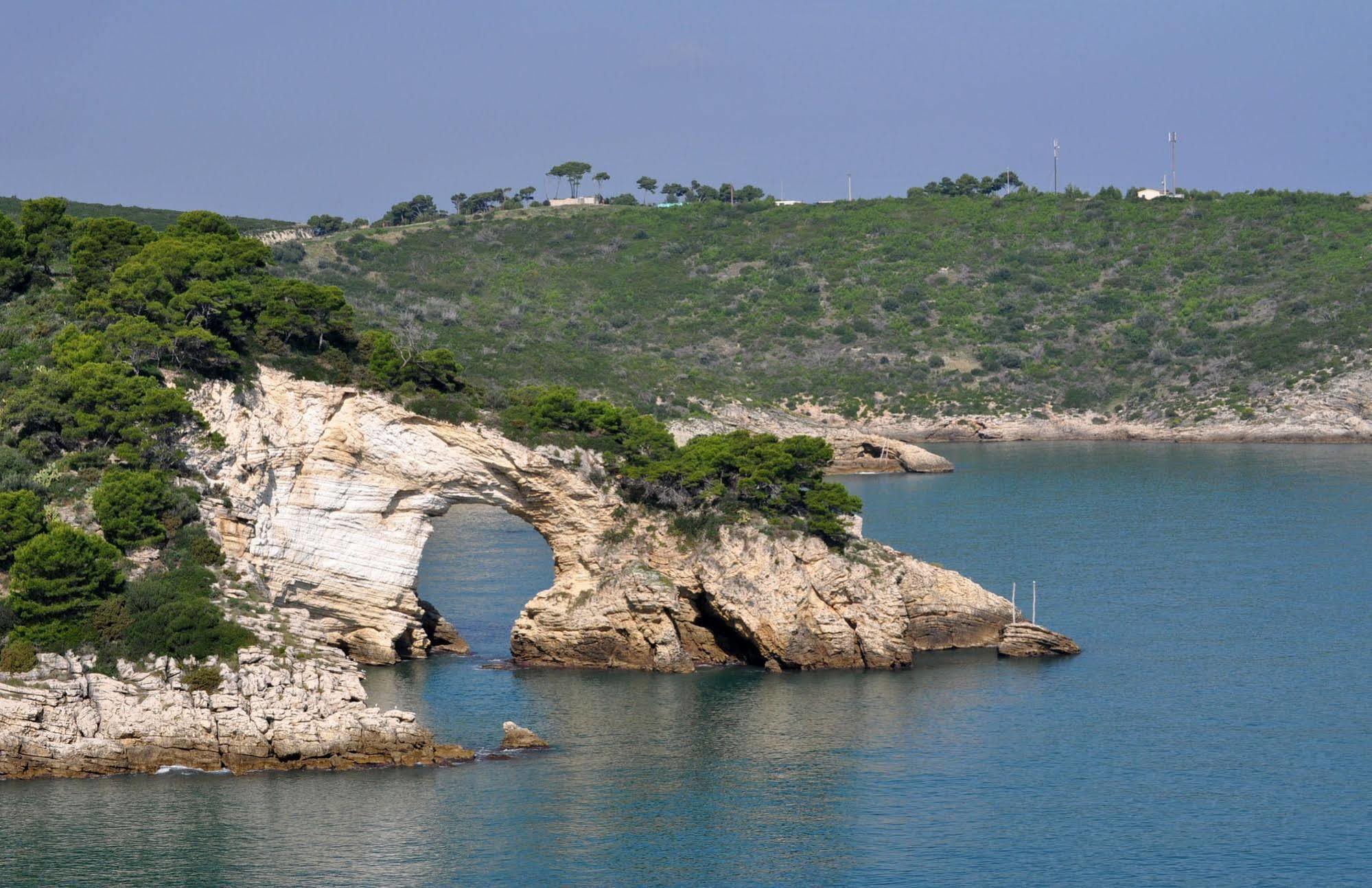 Hotel Solaria Rodi Garganico Εξωτερικό φωτογραφία
